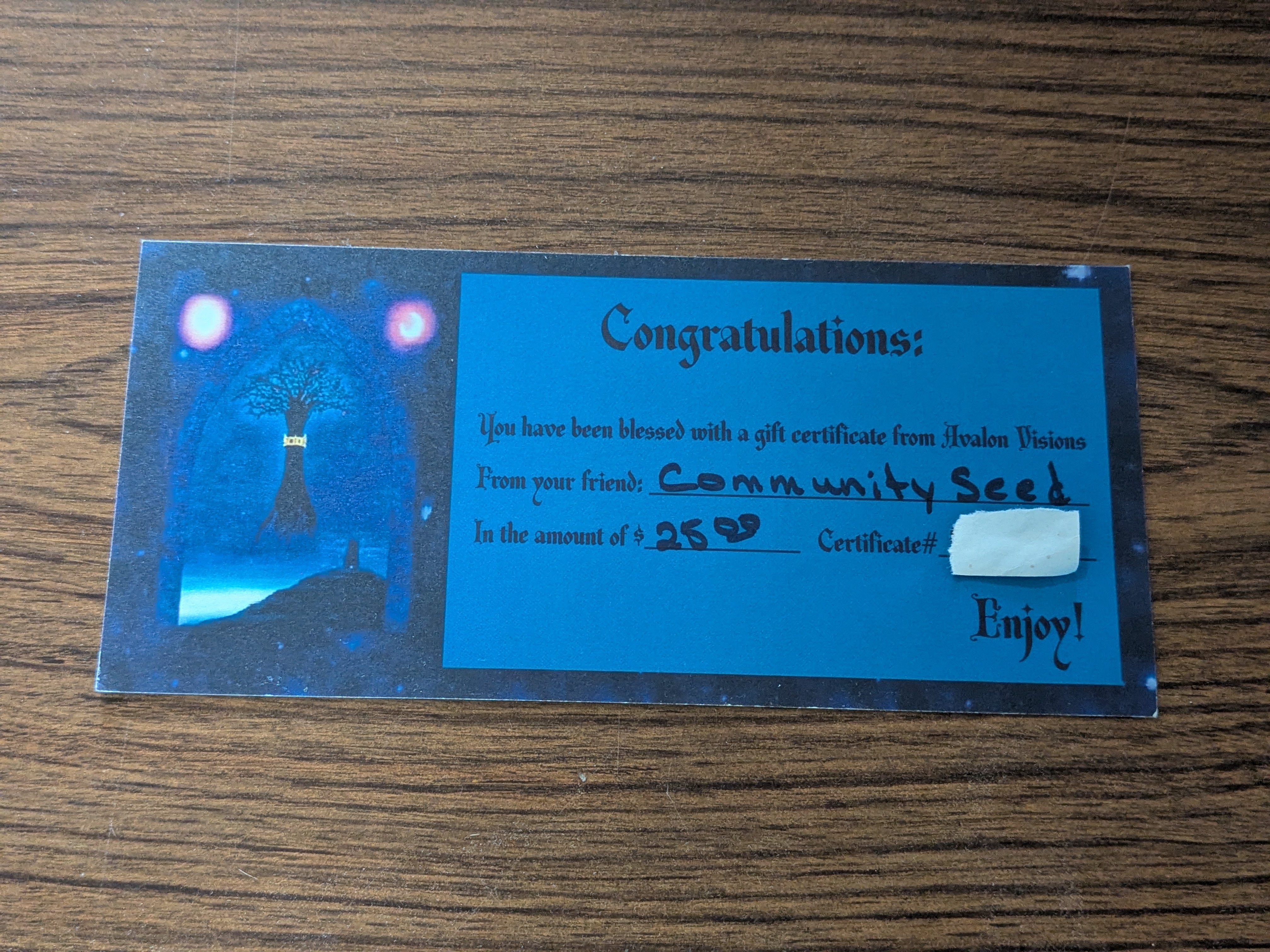 $25 Gift Certificate from Avalon Visions!