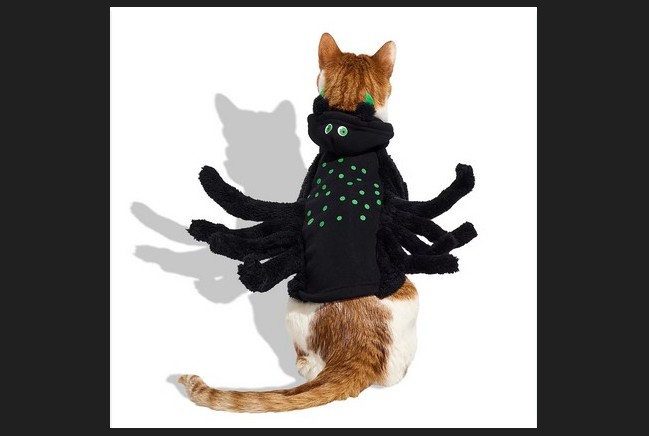 Petco Bootique Spider Costume, size M