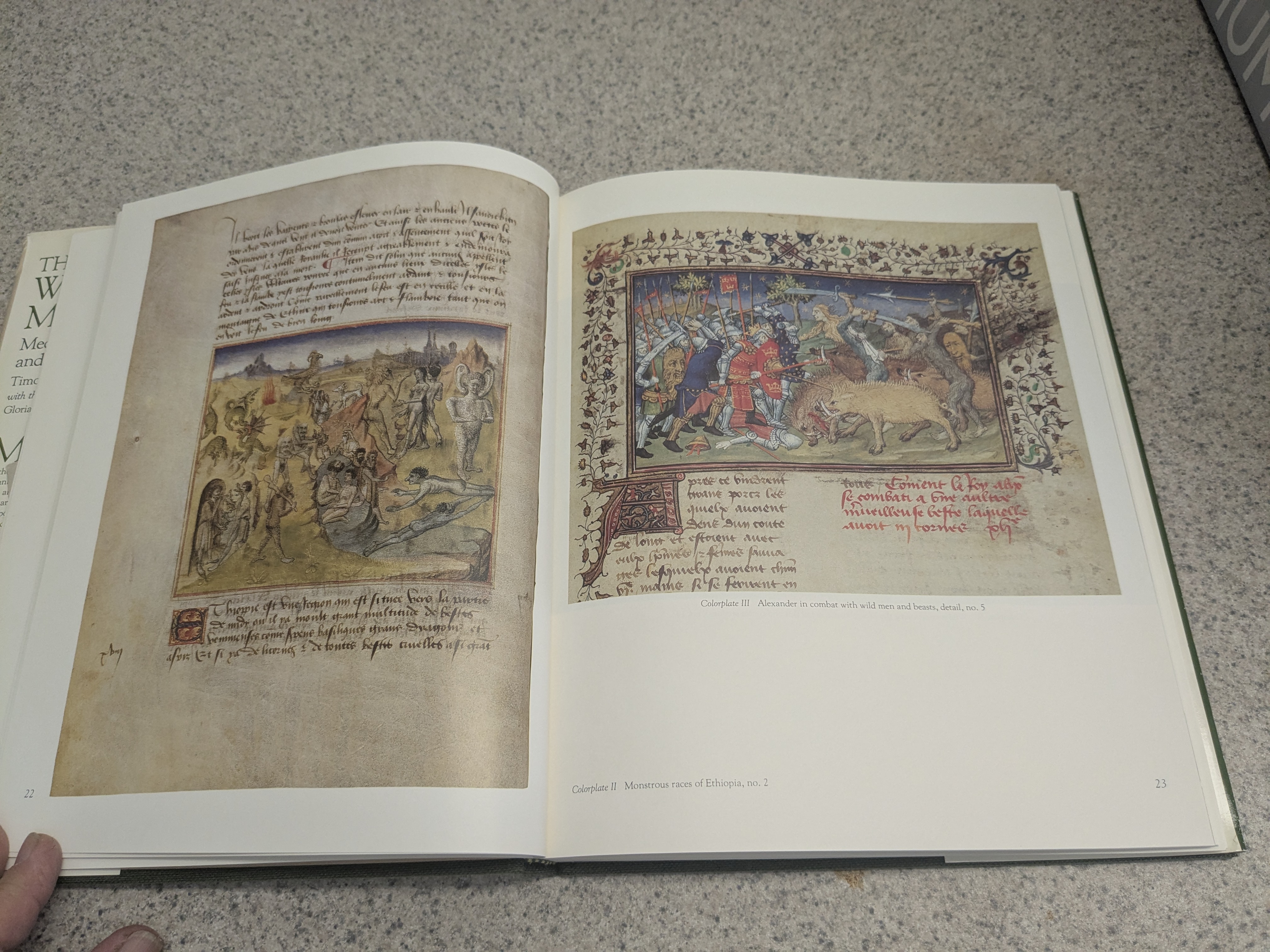 The Wild Man: Medieval Myth and Symbolism, by Timothy Husband (hardcover). 1980.