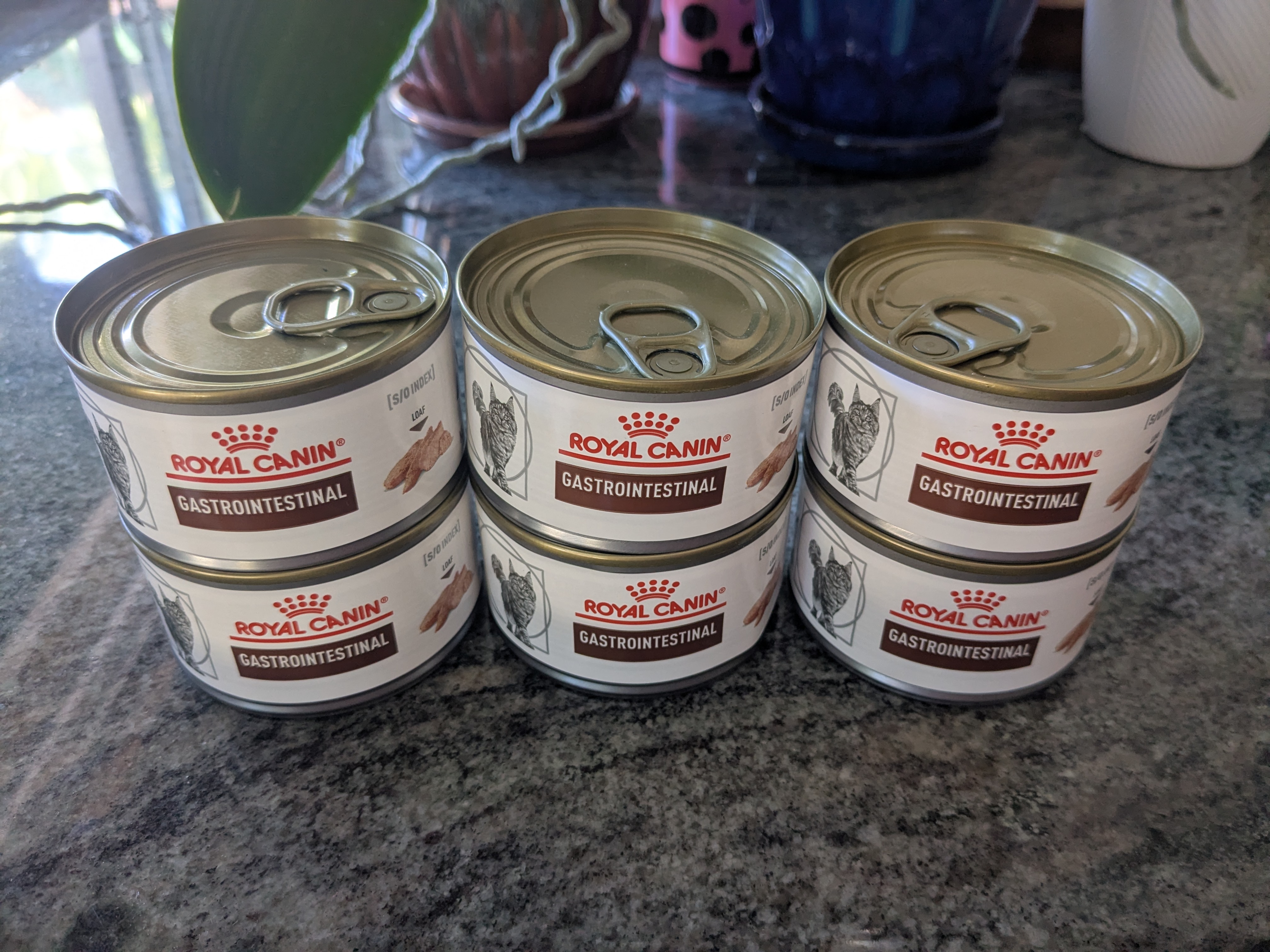 Cat Food - 6 Cans of Royal Canin Veterinary Diet Gastrointestinal Loaf (chicken pate), for cats with sensitive stomachs